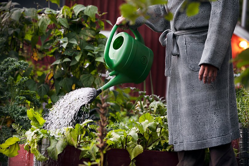 vattning i trädgård
